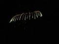 Japan Niigata Fireworks - Part 4