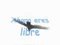 cuando se ama