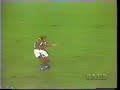 Final Fla X FLU 1995