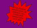 QUEDADA MADRILEÑA DE AMIGOS DEL PINSCHER MINIATURA