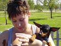 QUEDADA MADRILEÑA DE AMIGOS DEL PINSCHER MINIATURA QUEDADA MADRILEÑA DE AMIGOS DEL PINSCHER MINIATURA