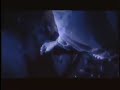 NEUROSIS - The Tide
