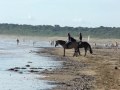 Galops sur la plage