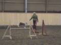 videos de Training Uschi mit Blizz am 21.12.08