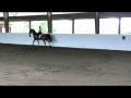 videos de Export Trial