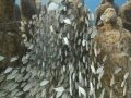 video ca canh dai duong Cảnh Đẹp Đại Dương - Youtraveling - YouTube
