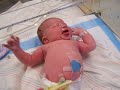 Violette Christina Furman