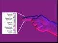 OmniTouch - Finger Tracking - ACM UIST 2011