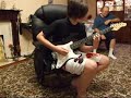 damooo playing naked pictures of your mother by elctric six
