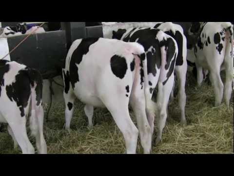 2012 Western Spring National Heritage Sale