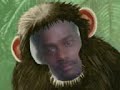 Mr.Bokka Mr.Bokka