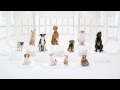 star wars dog sound