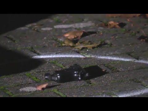 Köln: Angst vor Rockerkrieg - drei Schwerverletzte ...