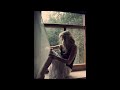 ♥♥DaBen feat.Nele - besser für uns ♥♥ Lyrics : Du musst begreifen, dass das mit uns keine Zukunft hat. Es ist aus und du sagst es kommt dir unfair vor Es fühlt sich falsch an ich kann es nicht ändern doch bevor ich dir dadurch nur noch mehr weh tu ist es besser für uns beiden wenn ich Stopp mach und geh - okey? Ich hab lange nachgedacht. Ich hab mich angestrengt es ändert nichts, hab gebetet in der Hoffnung man es ändert sich. Lage unveränderlich, es kommt n bisschen spät ich tu dir ungern weh, doch ohne wehtun geht's nich. Und ja ich schäm mich, würd es gern verstehn, ich frag mich wo ist da n Sinn und hoff es geht dir ähnlich. Ich hab mir Gedanken gemacht, Gedanken voller Hass. Ich muss es beenden, weil es einfach nicht anders passt. Ich will's dir erklärn, doch stell keine Fragen - lass es sein. Es tut mir Leid doch mein Herz gibt kein weitren Platz mehr frei. Und du empfängst das Signal und Ich werd sentimental, es ist verzwickt, hab mich vewrirrt auf dem unendlichen Pfad. Dich zu lieben bis ans Lebensende ist die alte Frist und es ist schlimm festzustelln dass du die Falsche bist. Ich nehm deine Hand, schau dich an und sag den letzten Satz: Du musst begreifen dass das mit uns keine Zukunft hat. Es ist aus und du sagst es kommt dir unfair vor Es fühlt sich falsch an ich kann es nicht ändern doch bevor ich dir dadurch nur noch mehr weh tu ist es besser für uns beiden wenn ich Stopp mach und geh - okey? Es ist aus und du sagst es kommt dir unfair vor Es fühlt sich <b>...</b>