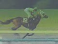 Horseracing at Keiba