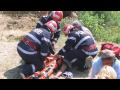 View Video
