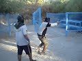 MOV04975