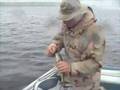 Fishing the Arrowhead: White Iron Lake