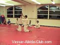 Aikido Technique 