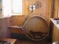 cat wheel by Richard Norton