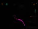 BlackBox TV: Episode 3.18 BlackBox TV: Episode 3.18