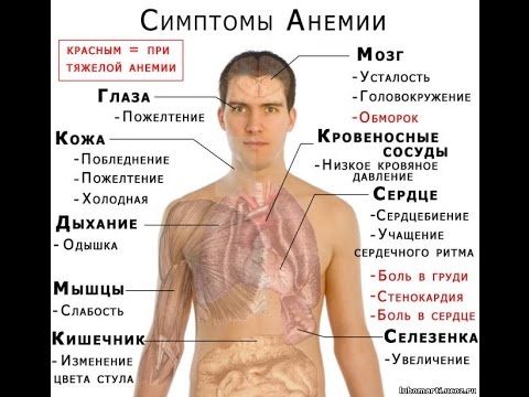 Слабость в теле что это за признаки Слабость в теле что это за признаки