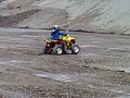 quad bikers renegade wheelie