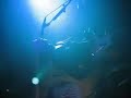 The Upper Room - Black and White Live