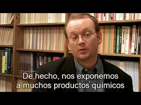 Imagen de previsualización de YouTube
