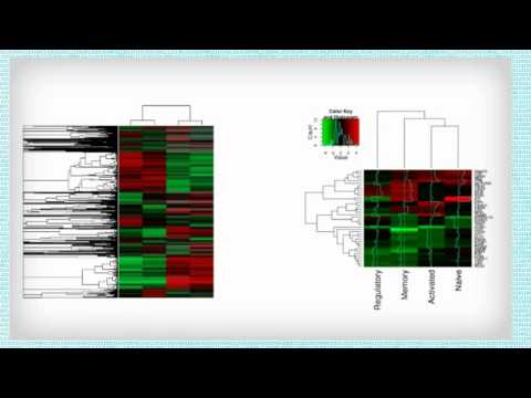 how to draw heatmap in r