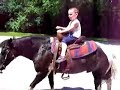 Horsey Boy