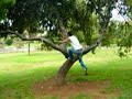 FLYING SATAS PARKOUR-Fort minor video