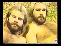 The Fabulous Ones