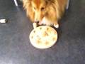 videos de 02122008001.mp4