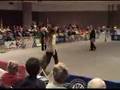 2007 AKC National Obedience Invitational Winner Utility