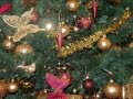 Angelo Branduardi - Merry We Will Be