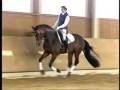 Jim sturgess _ Equestrian
