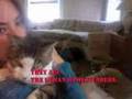 The Urban Homesteaders - Love Today