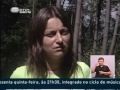 Nemátodo do Pinheiro - Arganil e Lousã
