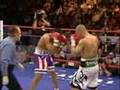 miguel cotto boxing quintana