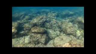 Snorkeling au Cap Rousset