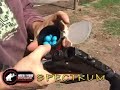Test bolitas Xo spectrum