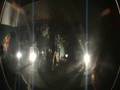 videos de Everything North Of Atlantic - And Brought Forth The Son