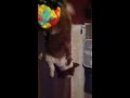 Click here to watch this video Oakly
