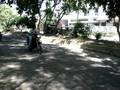 Wheelie by Nitin