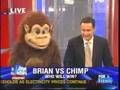 Brian Kilmeade takes on a Chimp and Looses