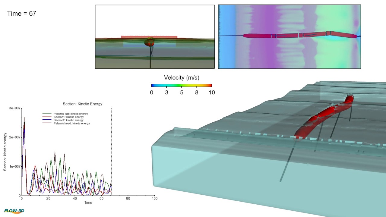 Pelamis Wave Energy Converter - CFD Software