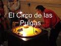 Titirimundi 2007. El Circo de las Pulgas. Flea Circus.