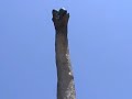  Jurassic Park The Ride Dino T-rex End Waterfall Universal Studios Hollywood Steven Spielberg HbVideos