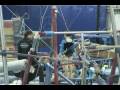 Tristen-Yellow Jackets.wmv